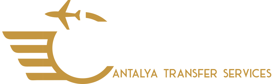 Flow Vip Travel